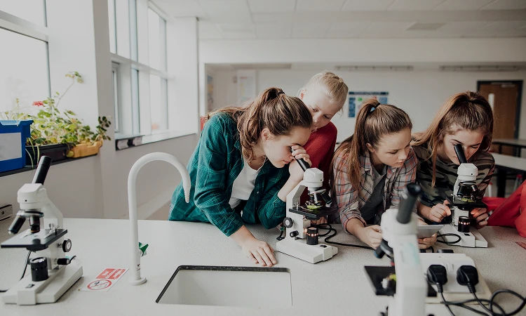 sightlab.siksmart.com