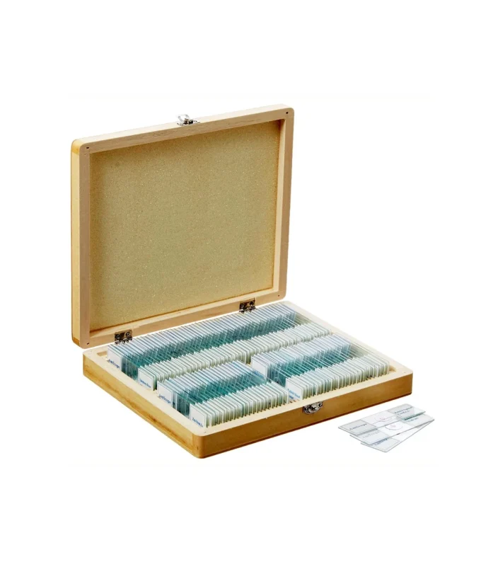 100pc Prepared Glass Microscope Slides in Wood Case